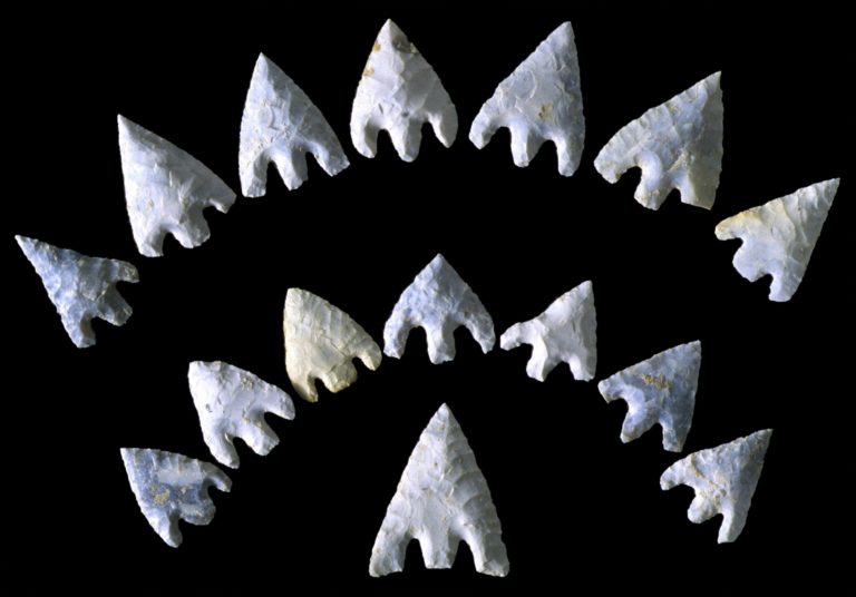 Some of the arrowheads found in the grave of the Amesbury Archer.