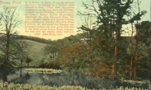Old print of Drews Pond in early 20th century