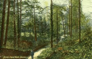 Early 20th century photo of man walking in woodland