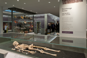 An exhibit featuring a skeleton in a case labeled the Stonehenge Archer