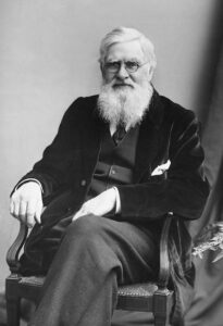 Black and white photo of Alfred Russel Wallace c1895