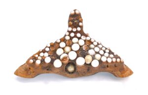 Bollan Wrasse pharyngeal plate, Poole Museum