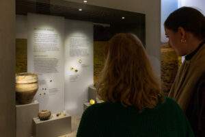 Looking at collections at Wiltshire Museum, Virtual collection