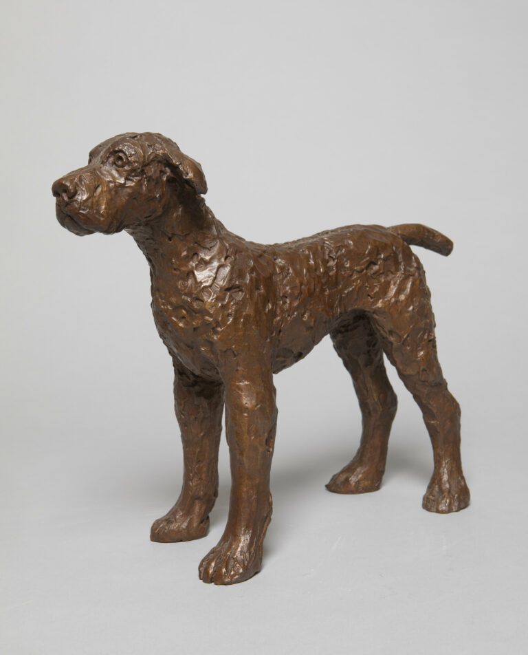 Bronze dog sculpture photographed on grey back drop.
