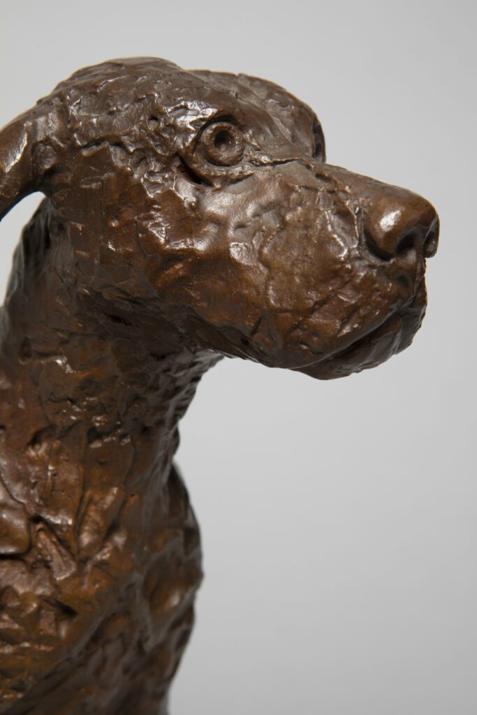 Close up of bronze dog sculpture on grey backdrop.